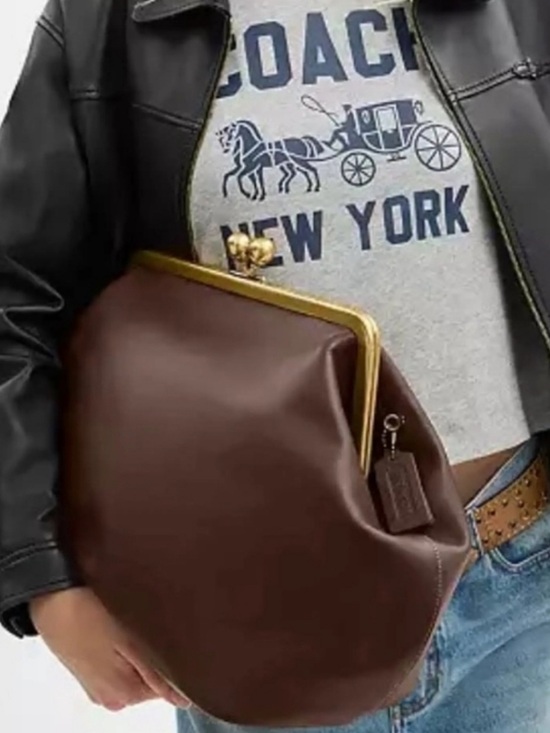 Coach Handbags - Coach Large Kisslock Frame Bag in Brown with Gold Hardware